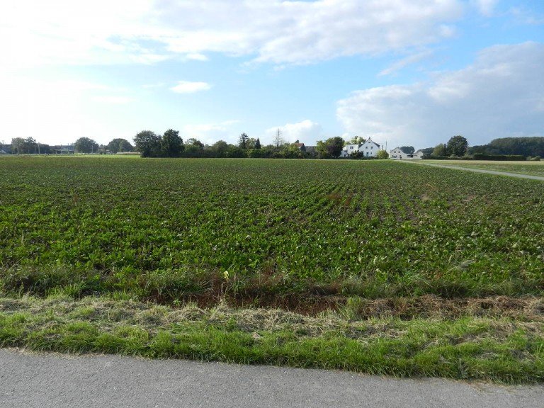 DSCN4587 Grundst�ck Baugebietsentwicklung Kamperweg Osterath