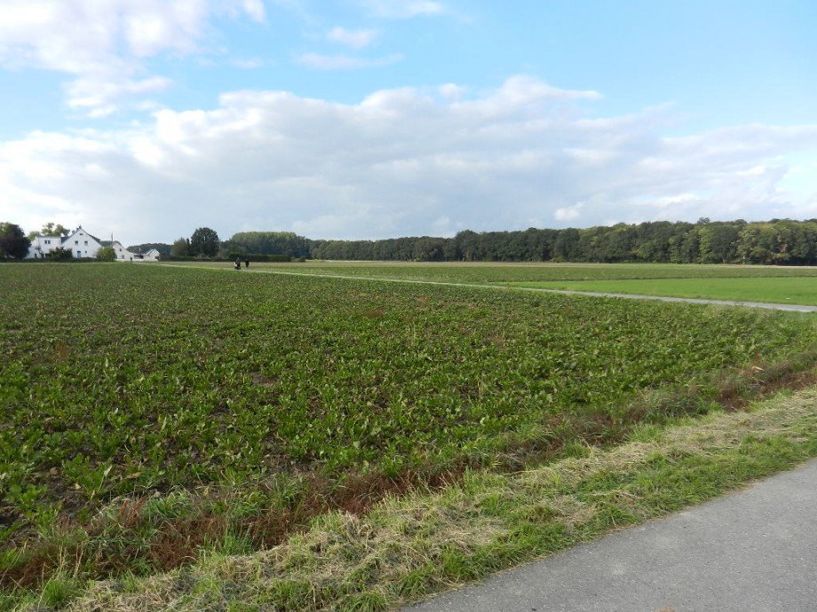DSCN4597 Grundst�ck 