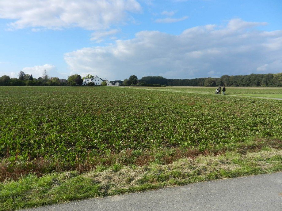 DSCN4593 Grundst�ck 